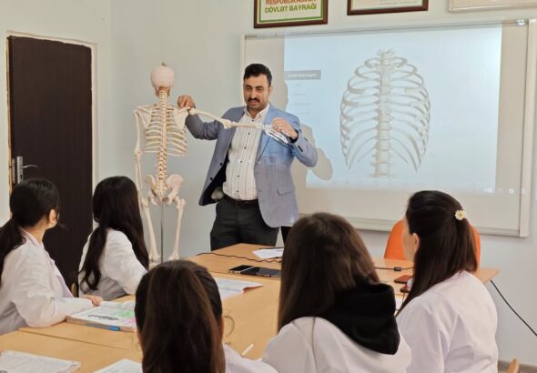 anatomiya dersi