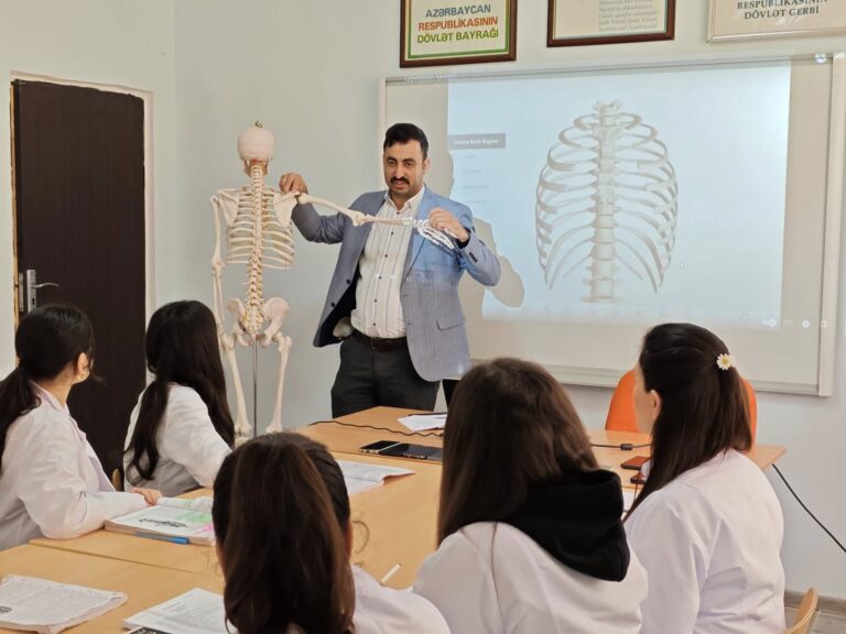 anatomiya dersi